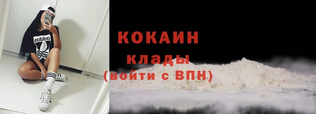mdpv Краснослободск