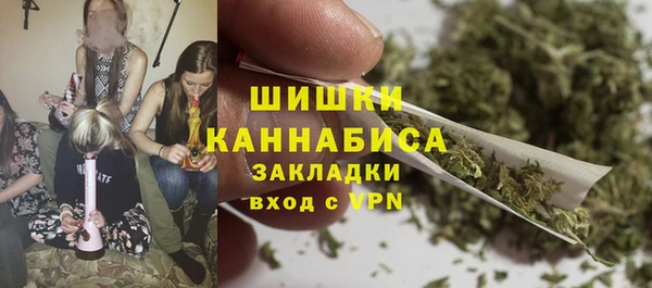 mdpv Краснослободск