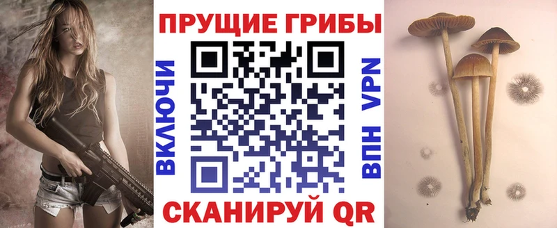 Галлюциногенные грибы ЛСД  Чекалин 