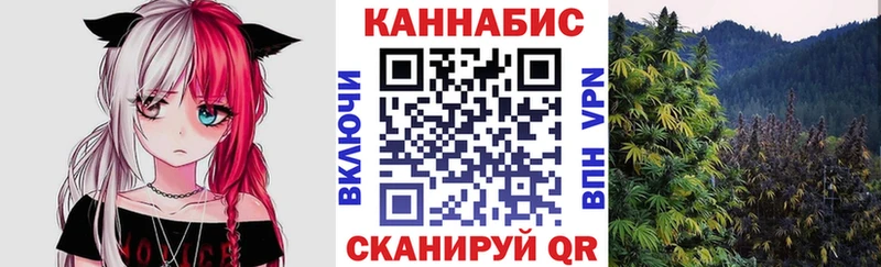 Конопля OG Kush  наркотики  Чекалин 